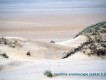 1303230409 - 000 - namibia desert snowscape jaakal